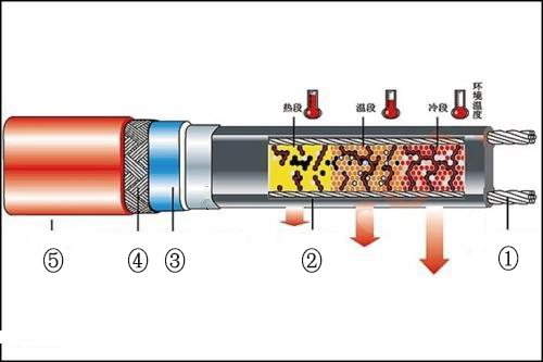 自限温电伴热带结构图